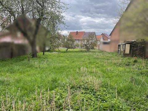 Bad Langensalza Häuser, Bad Langensalza Haus kaufen