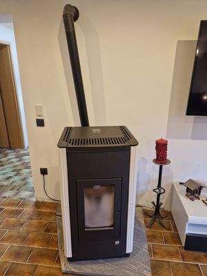 Kaminofen Wohnzimmer