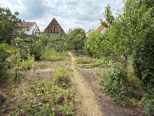 Obstgarten hinter der Scheune