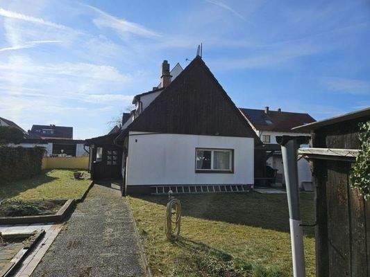 Blick auf Altbestand