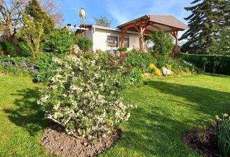 Gartenimpressionen des letzten Jahres (3).JPG