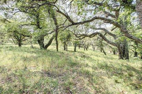 Grimaud Grundstücke, Grimaud Grundstück kaufen