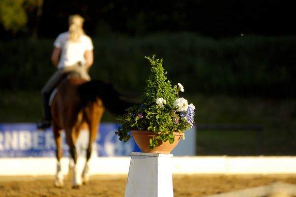 Reitanlage Starnberg