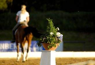 Reitanlage Starnberg