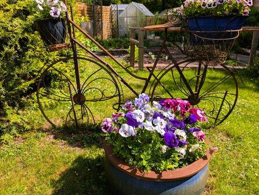 Blick in den Garten