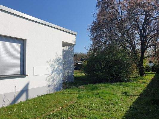 Teilansicht Garten u. Haus (8)