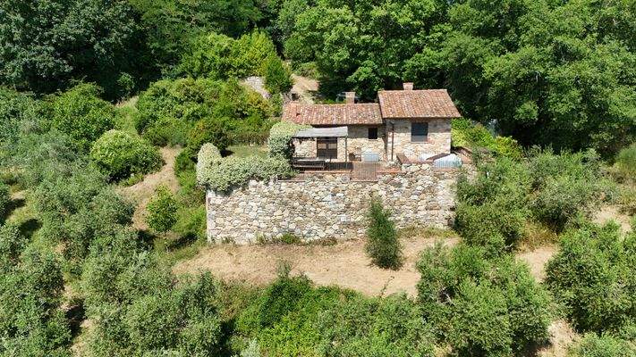 Anwesen Idyll mit Olivenhain