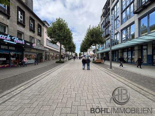 Alleestraße - Nachbarschaft