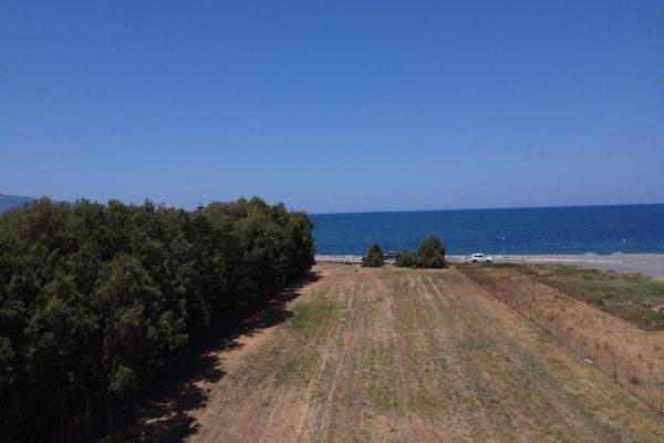 Kreta, Tavronitis: Erstklassiges Strandgrundstück mit malerischem Meerblick zu verkaufen