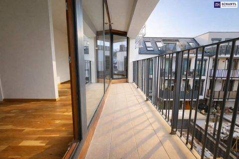 Wien Wohnungen, Wien Wohnung mieten