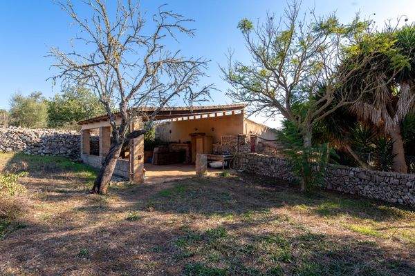 Viel Platz für Tierhaltung- Hühnerstall - Pferdestall