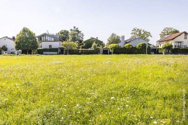 Blick über die Wiese