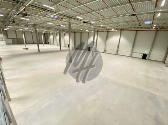 INFOS UNTER: 06171-586000