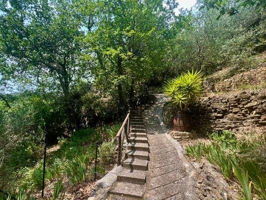 AP915_27 TERRA ITALIA IMMOBILIEN_LIGURIEN_APRICALE