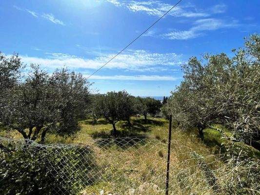Südostkreta, Makry Gialos: Grundstück mit Meerblick zu verkaufen