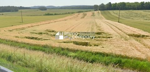 Kaisersdorf Bauernhöfe, Landwirtschaft, Kaisersdorf Forstwirtschaft