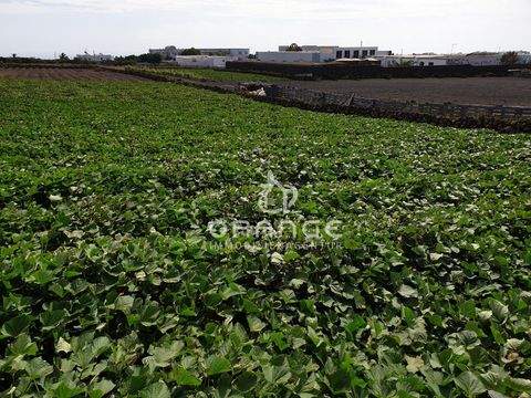 Tias Grundstücke, Tias Grundstück kaufen