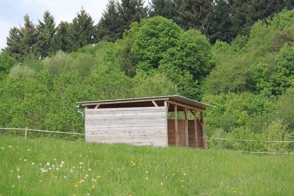 Unterstand auf Weide