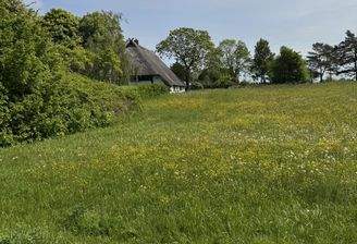 Grundstück mit Altbestand und Entwicklungsspielraum in Kühlungsborn DAHLER Rosto