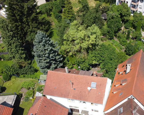 Ofterdingen Grundstücke, Ofterdingen Grundstück kaufen