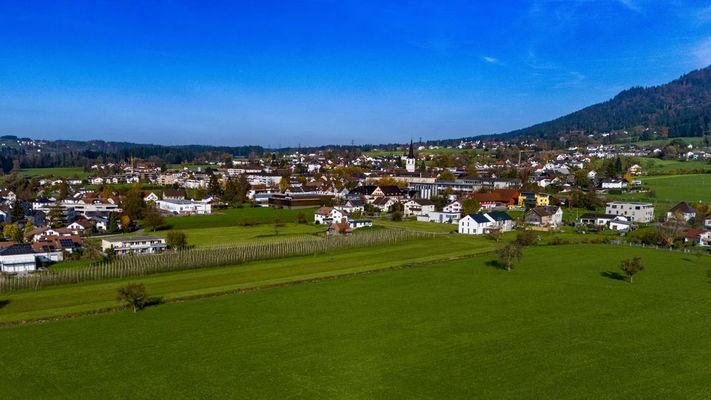 Blick auf den Pfänderrücken