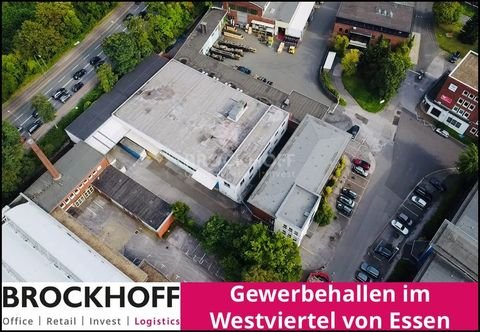 Essen Halle, Essen Hallenfläche