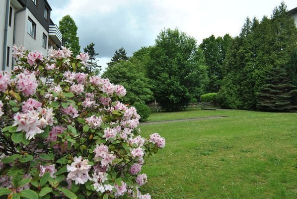 Grünanlage vor dem Haus