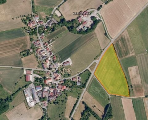 Meinheim Bauernhöfe, Landwirtschaft, Meinheim Forstwirtschaft