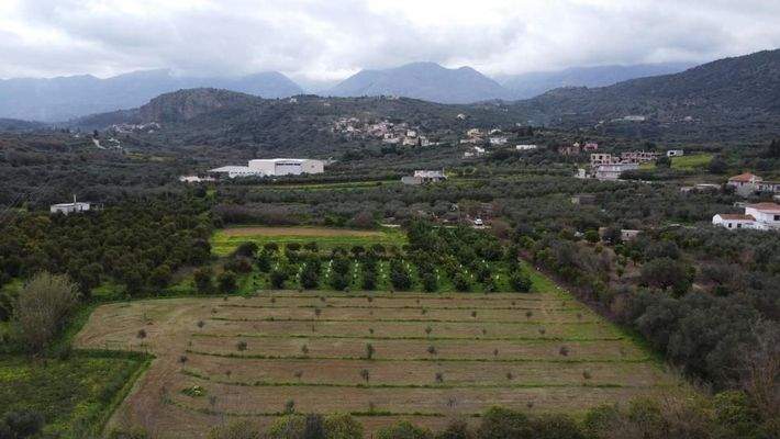 Kreta, Stilos: Charmantes ländliches Grundstück mit Bergblick zu verkaufen