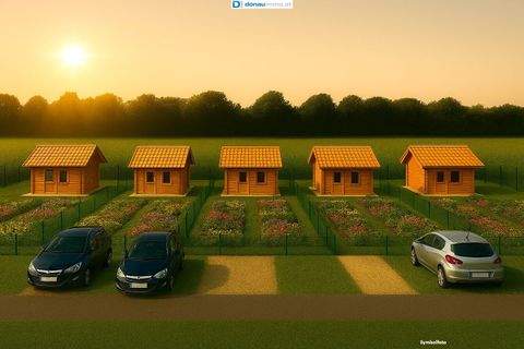 Neusiedl am See Bauernhöfe, Landwirtschaft, Neusiedl am See Forstwirtschaft