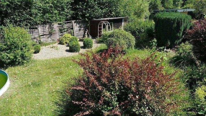 Blick in den Garten