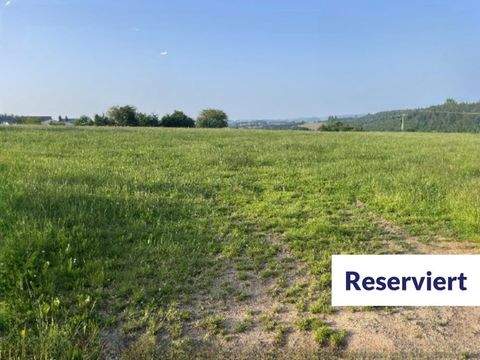 Winterspelt Bauernhöfe, Landwirtschaft, Winterspelt Forstwirtschaft