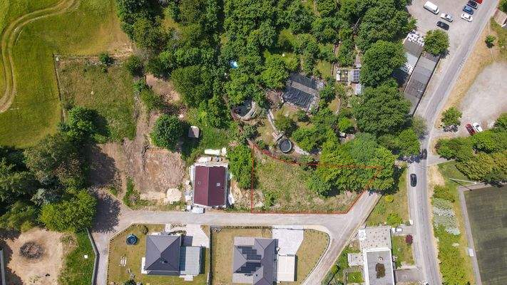 PHOTO-2025-06-12-13-01-58 - bearb