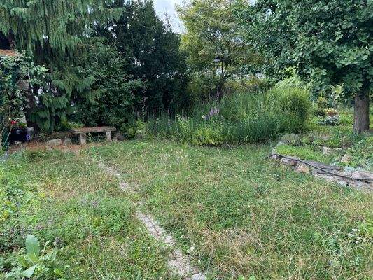 eingewachsener Garten