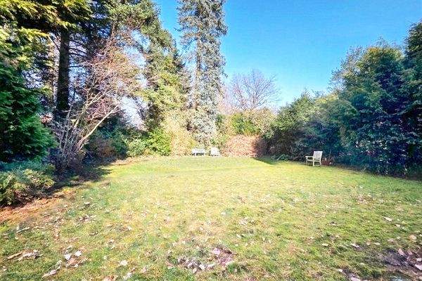 Vollständig eingewachsen - zugleich mitten im Stadtteil