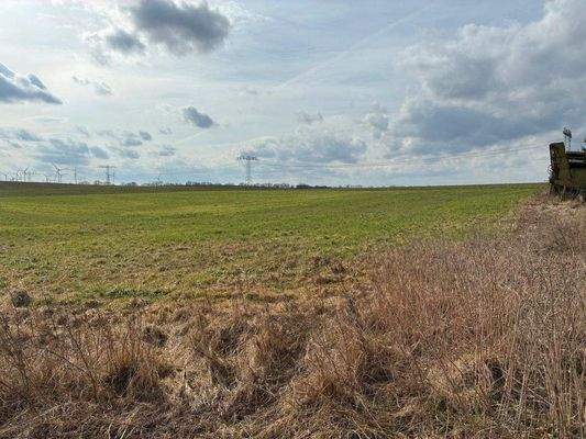 Blick auf das Wohngrundstück