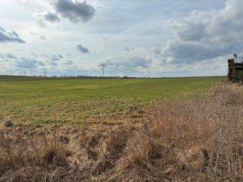 Rom Grundstücke, Rom Grundstück kaufen