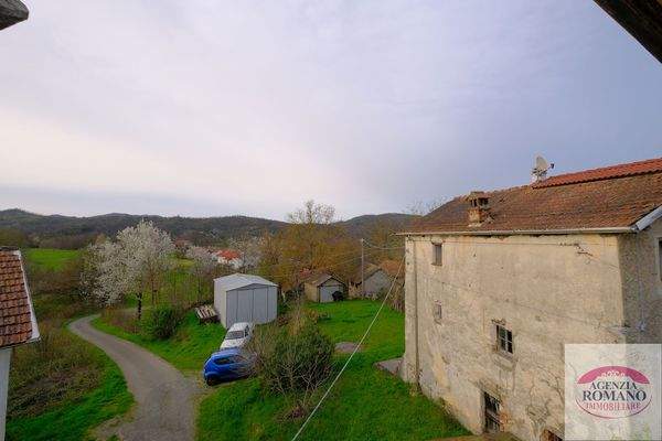 rif 1504(Copy52).jpg