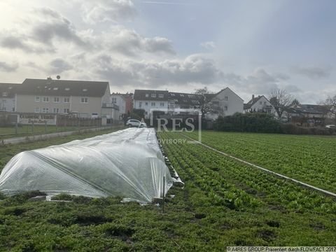 Frankfurt Bauernhöfe, Landwirtschaft, Frankfurt Forstwirtschaft