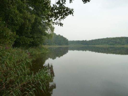 Blick auf den Göhlensee