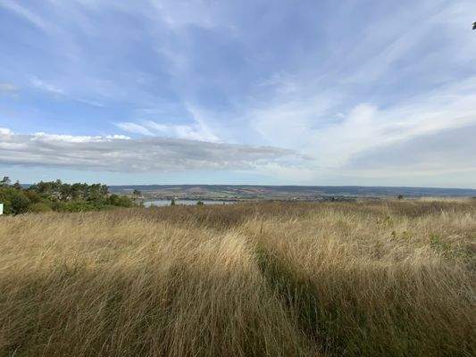 Umgebung Stausee Kelbra
