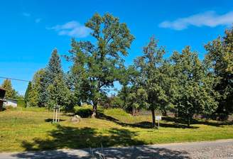 b7329d40-c458-42be-ab94-384d56276a4d