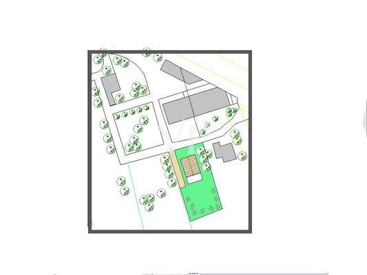 Immagine plani,etria