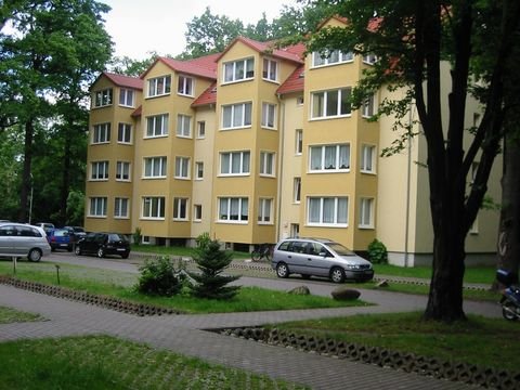 Dessau-Roßlau Wohnungen, Dessau-Roßlau Wohnung kaufen