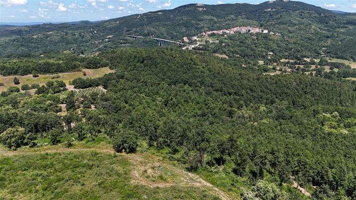 Grundstück 8 ha Panoramablick