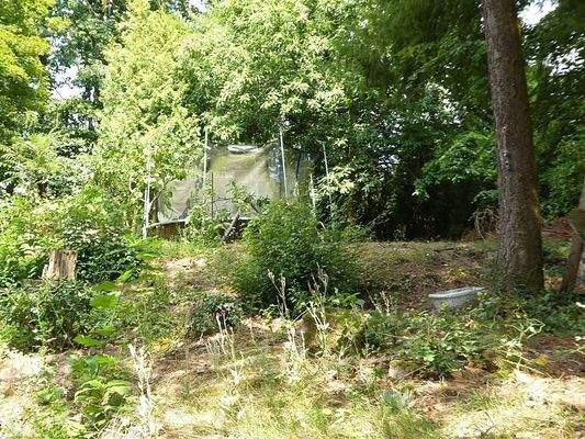 Garten mit Trampolin