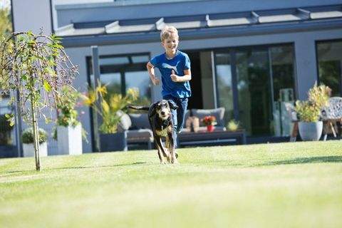 Markt Erlbach Häuser, Markt Erlbach Haus kaufen