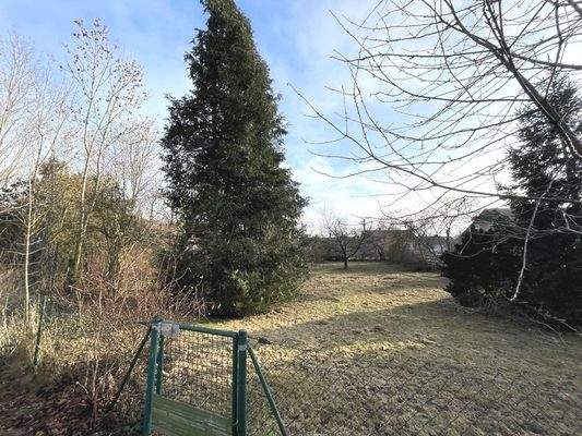 großer Bauplatz mit Baumbestand