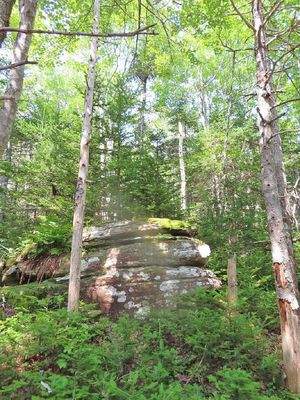 Cape Breton - Atlantik-Grundstück in herrlicher ge