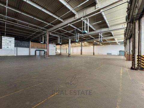 Hamburg Halle, Hamburg Hallenfläche